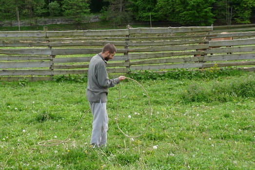 Learning to throw a stiff lasso - part 1