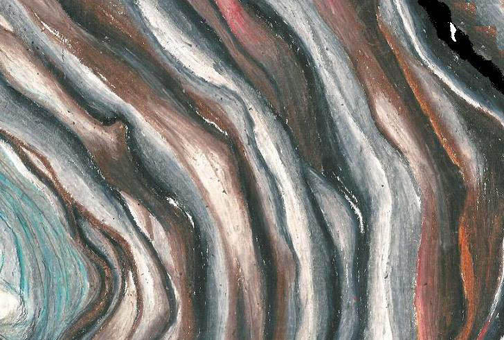 Colour Study Shell Colour Study - Shell by baby-pengu on DeviantArt
