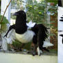 Needle Felted Magpie