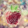 do you like strawberry