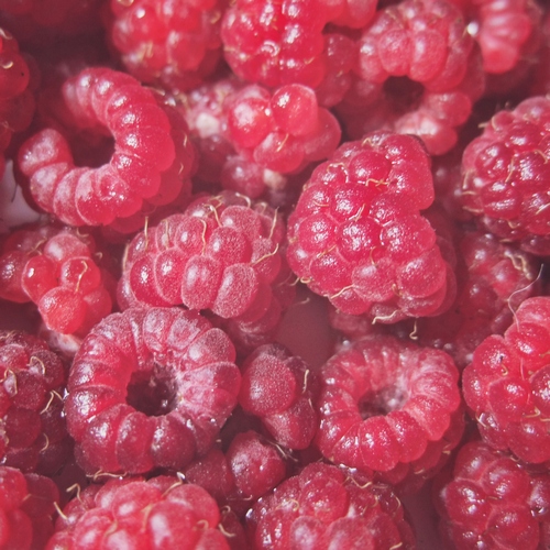 raspberry