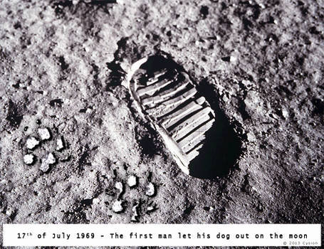 PhotoSoup of History: Man on the Moon