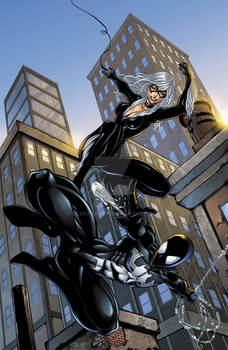 Spiderman black costume and Blackcat colors