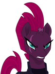 Tempest shadow 4