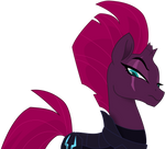 Tempest Shadow 6