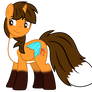 EJ The Hansome Stallion (Fox Ponysona alt)