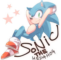 Sonic the hedgehog