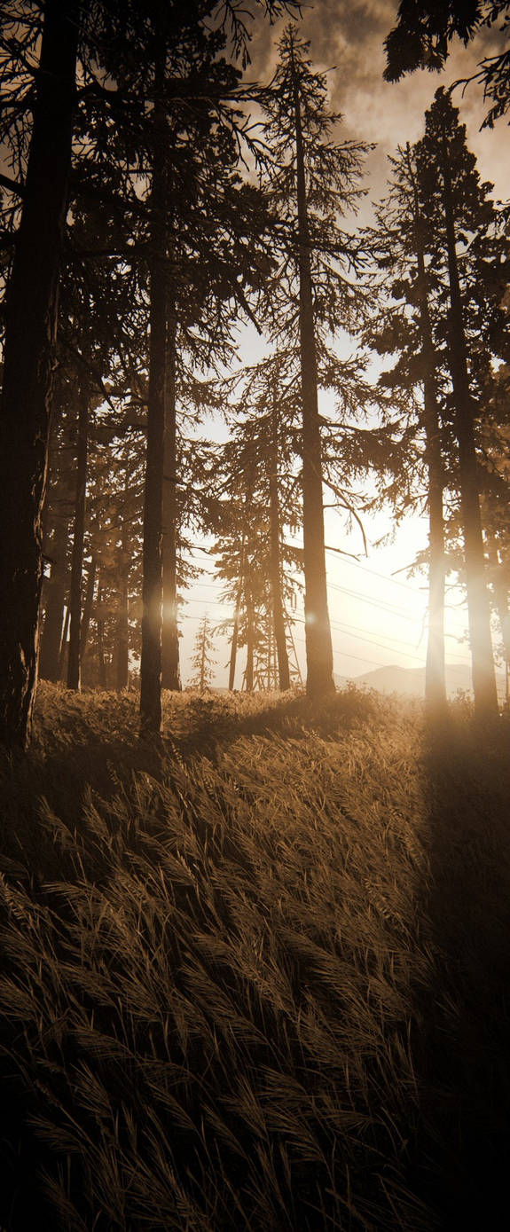 The Last Of Us Part 2 Intro Vertical By ElcaGaming On DeviantArt the-last-of-us-part-2-intro-vertical-by-elcagaming-on-deviantart