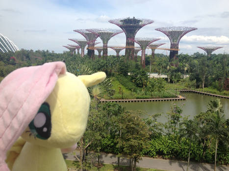 Fluttershy at Gardens by the Bay.