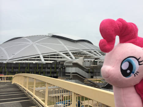 Pinkie Pie at the National Stadium