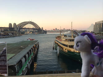 Rarity at Sydney Harbour