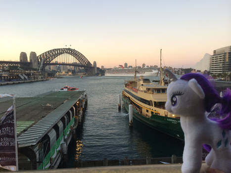 Rarity at Sydney Harbour