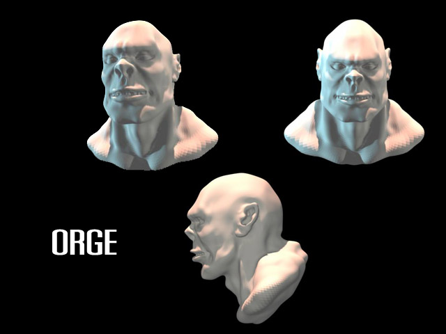 Orge head