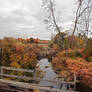 Autumn bridge