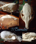 For Sale: Gray Fox by tourmaline-83