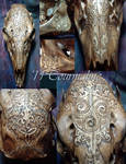 Shaman Deer skull by tourmaline-83