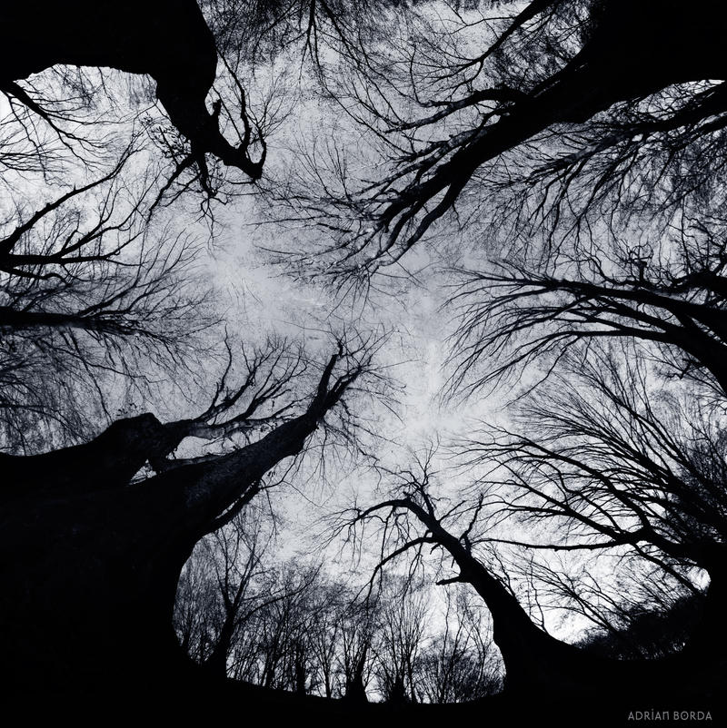 The Nightmare Before The Night by borda