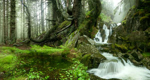 The Green Land