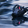 The Black Swan II