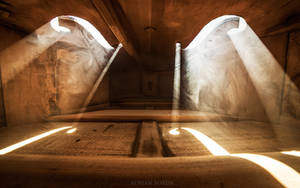 Inside a Violin by borda