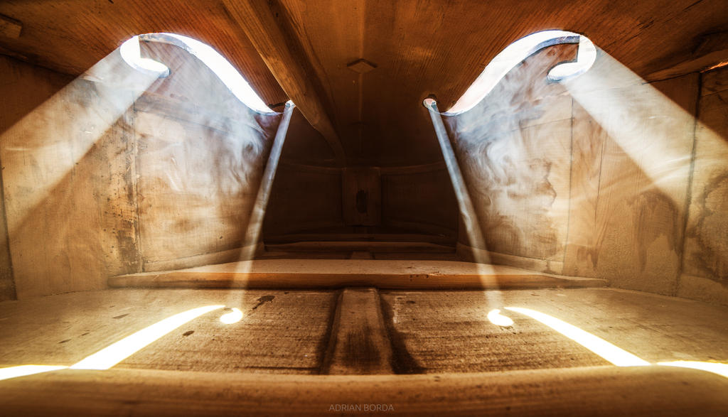Inside a Violin III by borda