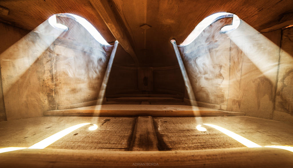 Inside a Violin III