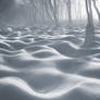White wilderness