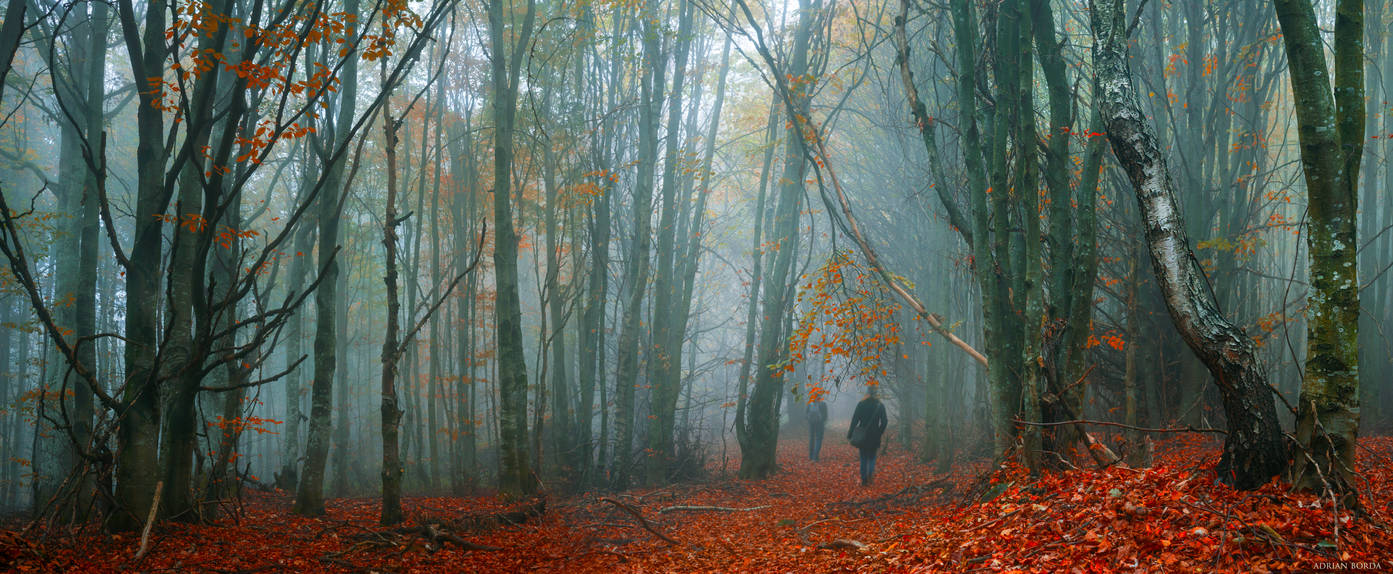 A Walk to Remember by borda