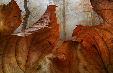 Explore the Best Rusty Art | DeviantArt