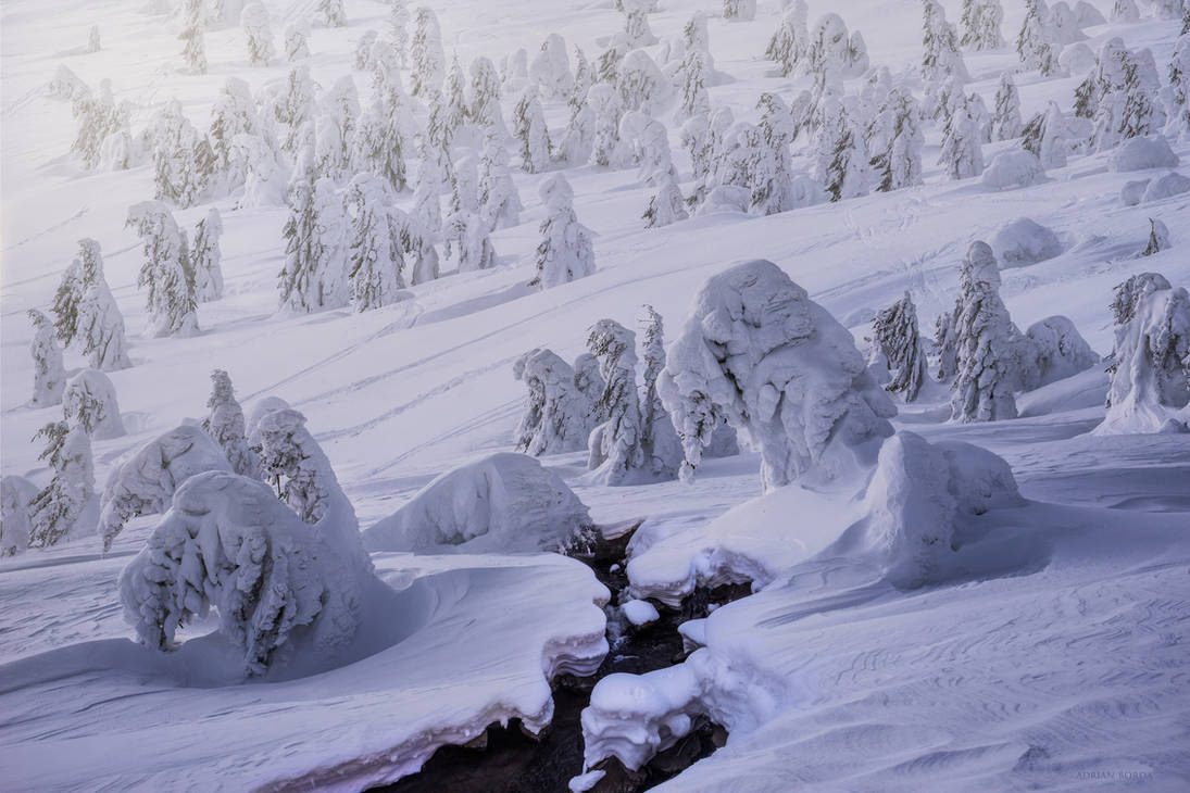The Frozen Army 9 A Frozen Army by borda on DeviantArt