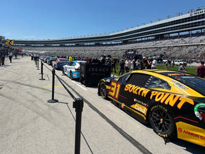 All cars on the grid. 