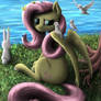 fluttershy