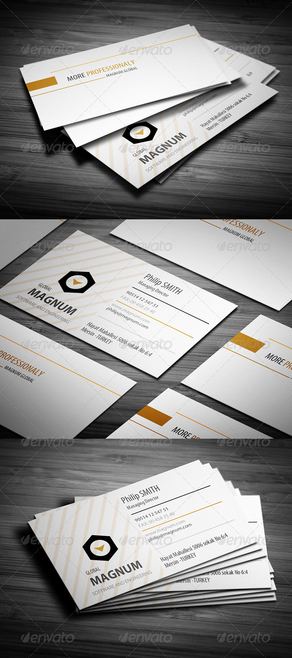 Orange Line Business Card