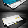 3 in 1 Business Card Bundle