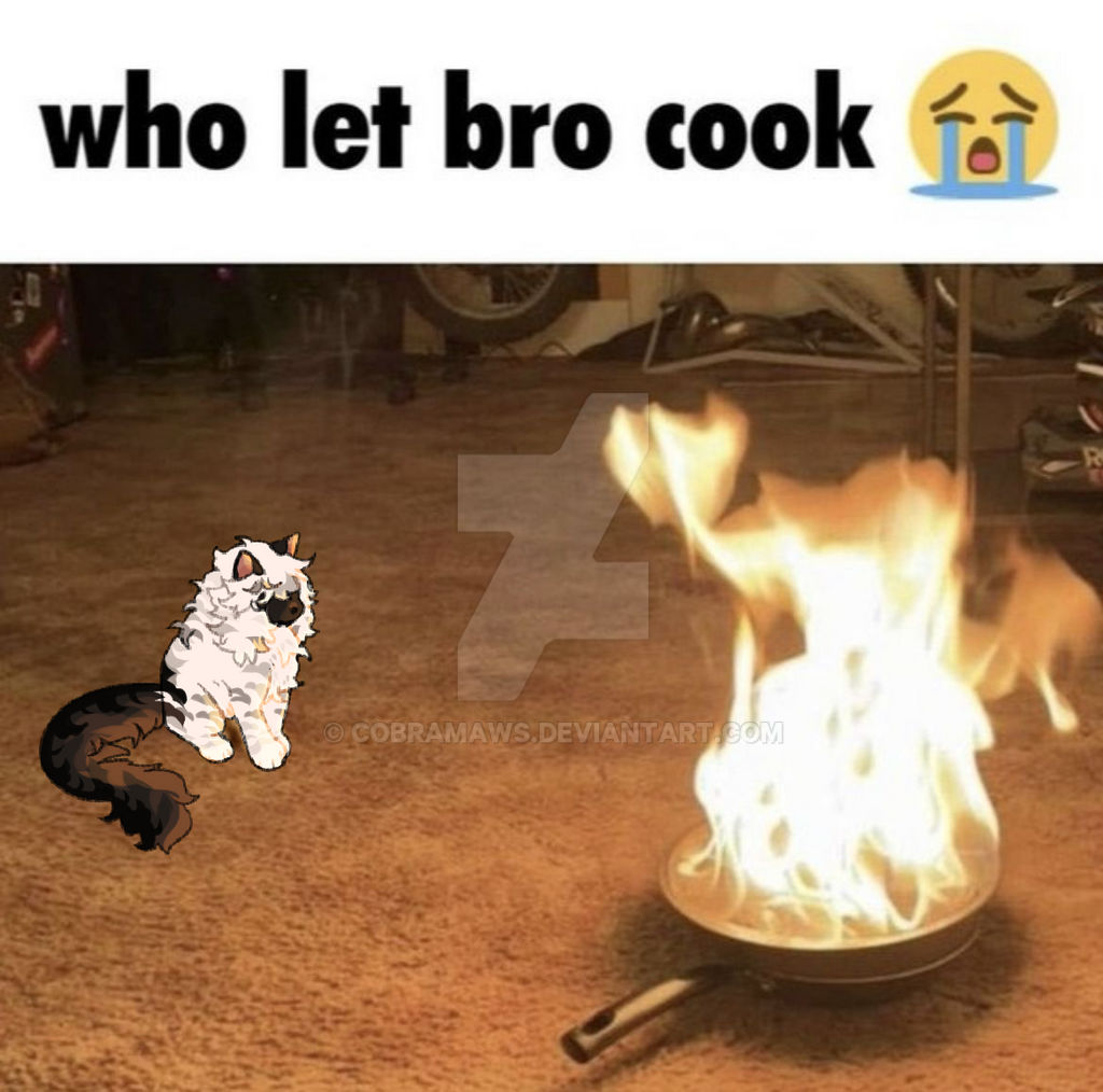 Who Let Bro Cook By Cobramaws On DeviantArt who-let-bro-cook-by-cobramaws-on-deviantart