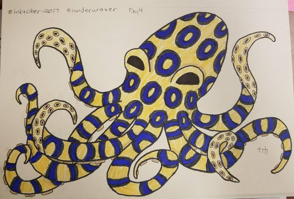 Blue Ringed Octopus Animation Blue Ringed Octopus by Malyix0013 on DeviantArt