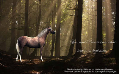 Welsh Pony Manip 1