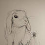 Bunny using ballpoint pen