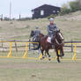 2014 Showjumping stock 34