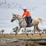 Endurace stock 2022 race I 63