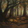 Autumn Woods