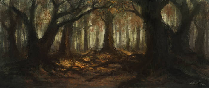 Autumn Woods