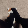 Foxy Footstool :3