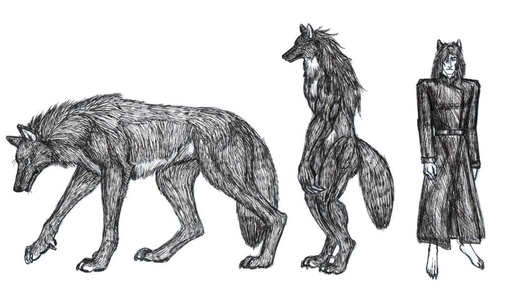 Beast Kin Girl Rabbit Uncolored Beast-kin Cain Ref by WolfknightlordJ on DeviantArt