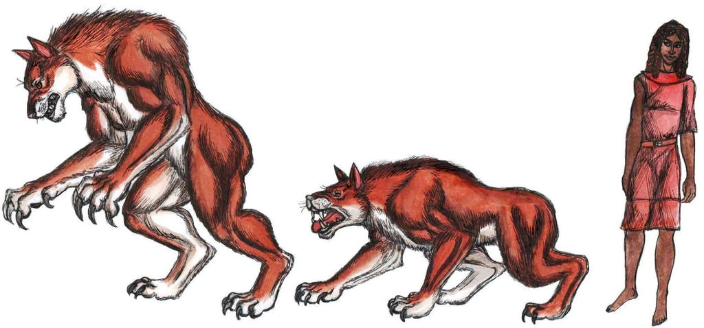 Werewolf Reference by WolfknightlordJ on DeviantArt