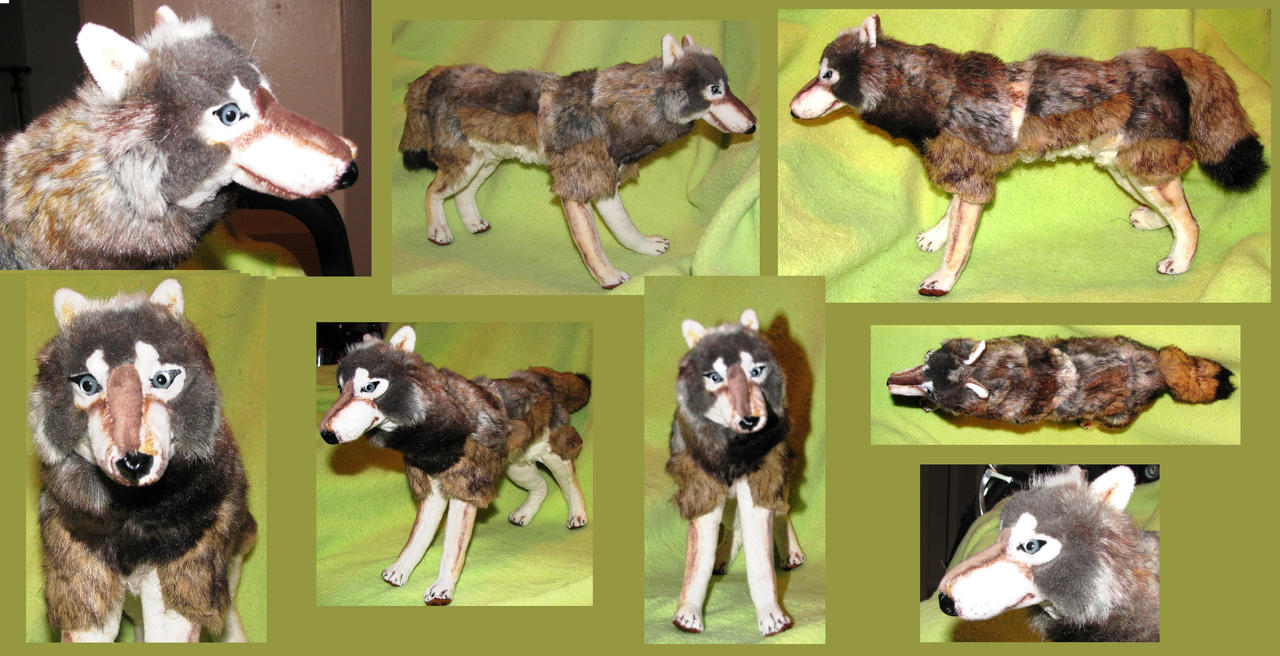 Realistic Timber Wolf Plush