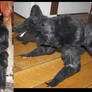 Black Werewolf Plush