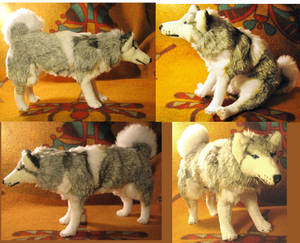 Desmond Siberian Husky Plush Commission