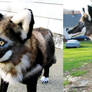 Large Black Plush Wolf 2