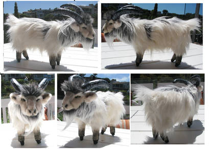 Male Icelandic Goat Plush Toy